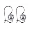 Sterling Silver euro hooks- earrings